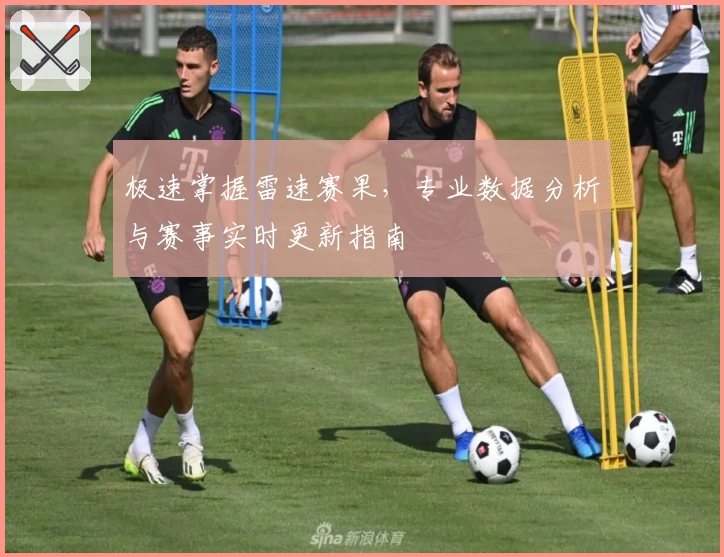 极速掌握雷速赛果，专业数据分析与赛事实时更新指南