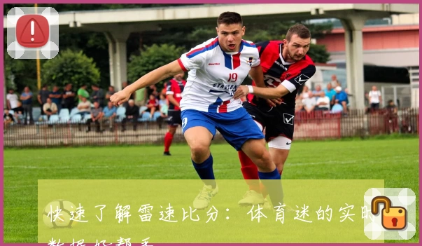 快速了解雷速比分：体育迷的实时数据好帮手